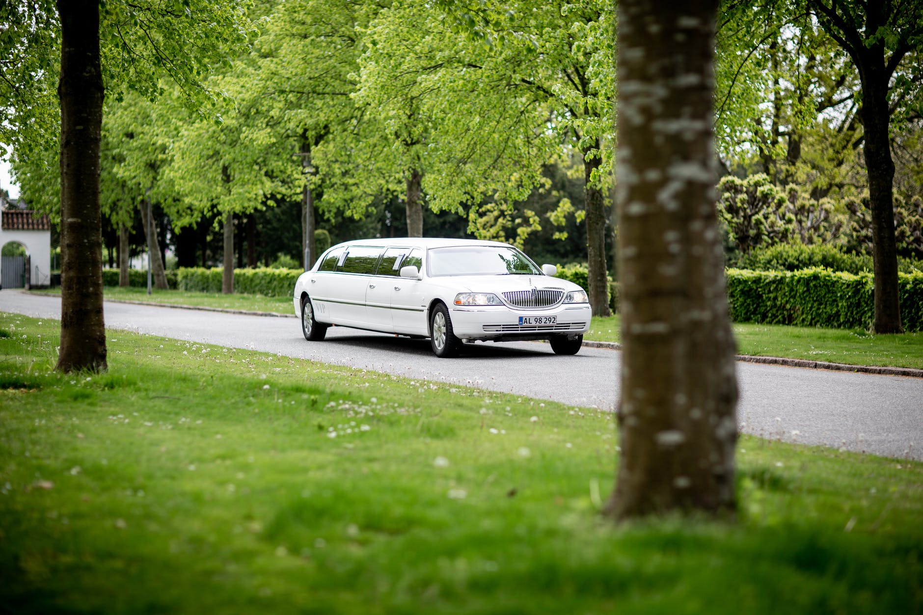 Luxury Stretch Limousine