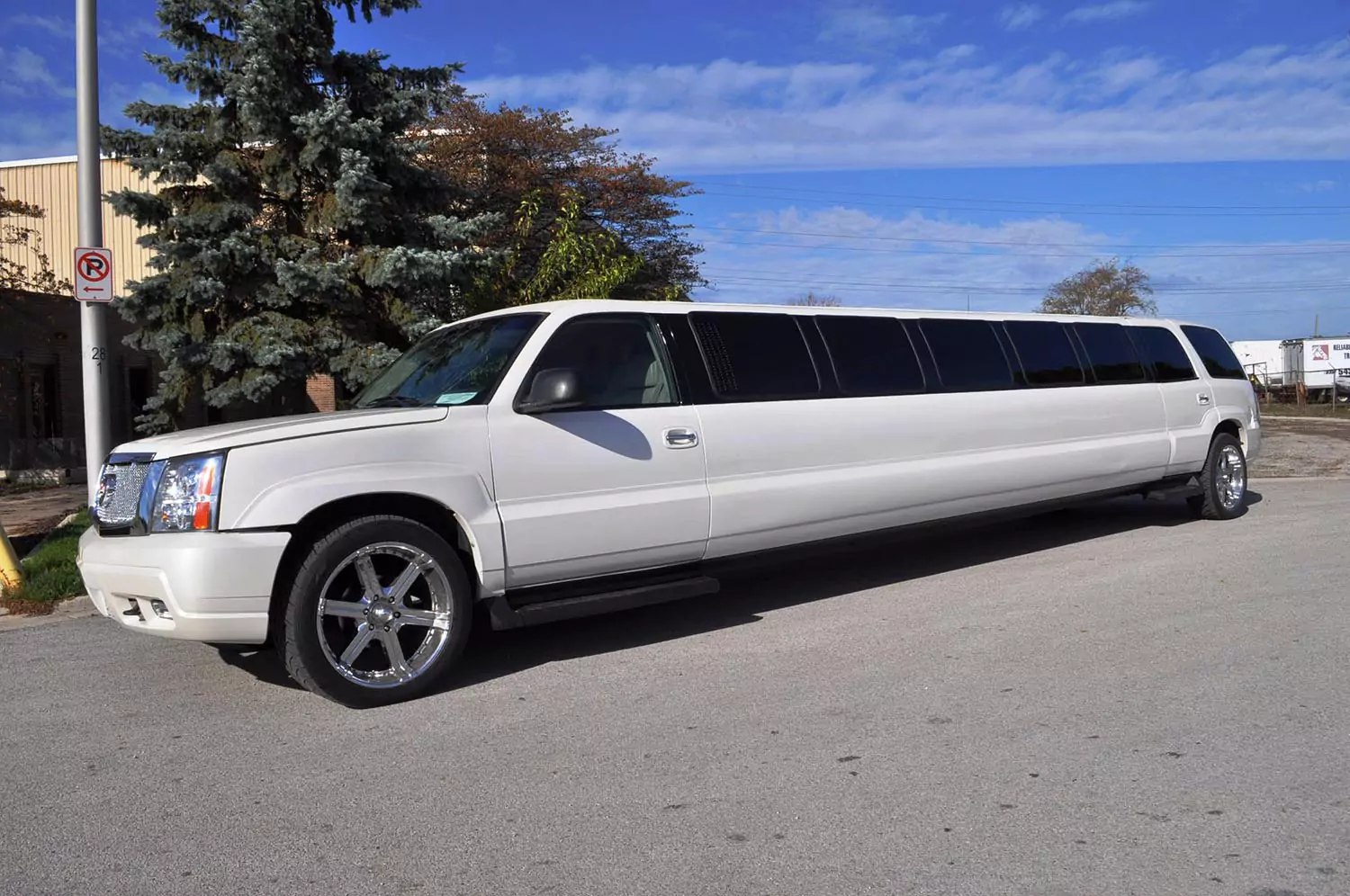 AVITAL CHICAGO PARTY BUS AND LIMOUSINE