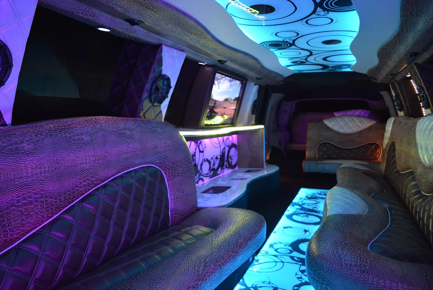 AVITAL CHICAGO PARTY BUS AND LIMOUSINE