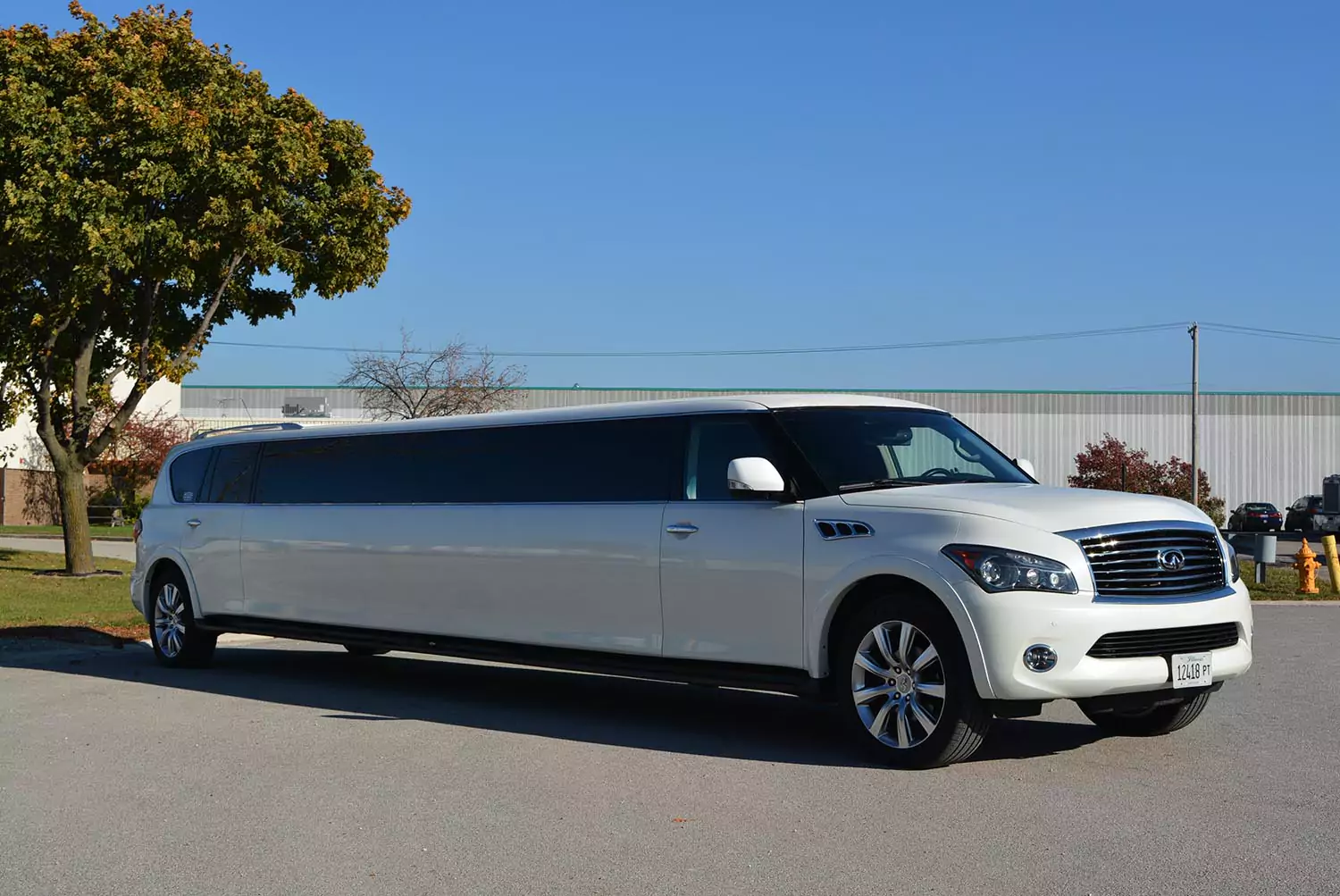 AVITAL CHICAGO PARTY BUS AND LIMOUSINE