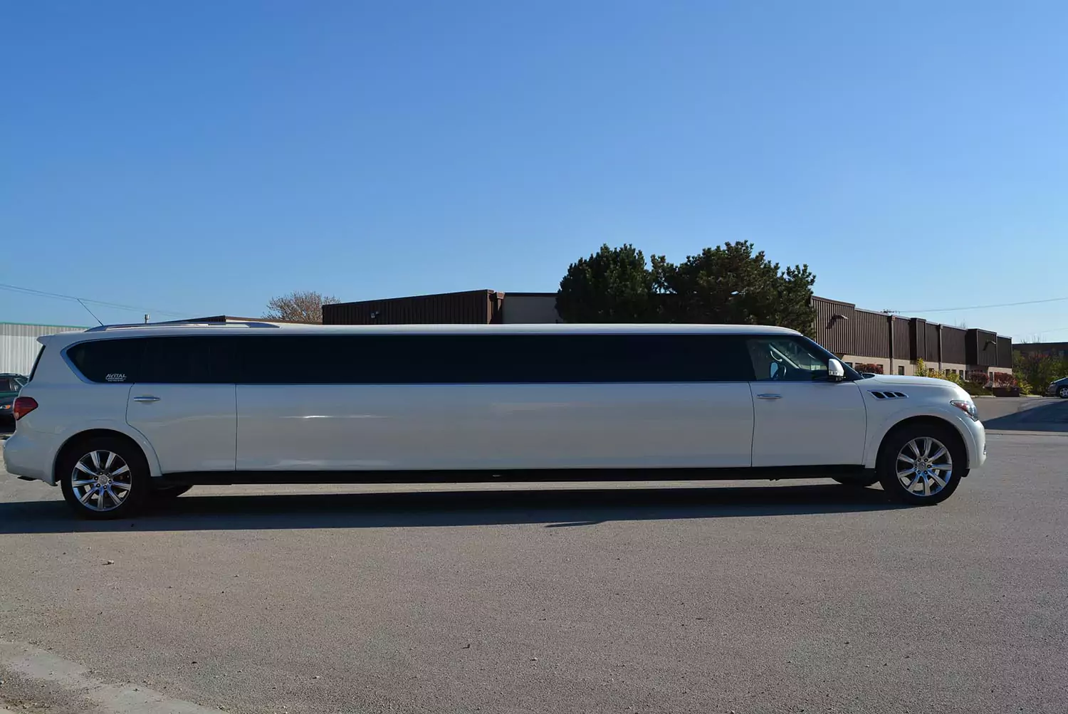 AVITAL CHICAGO PARTY BUS AND LIMOUSINE