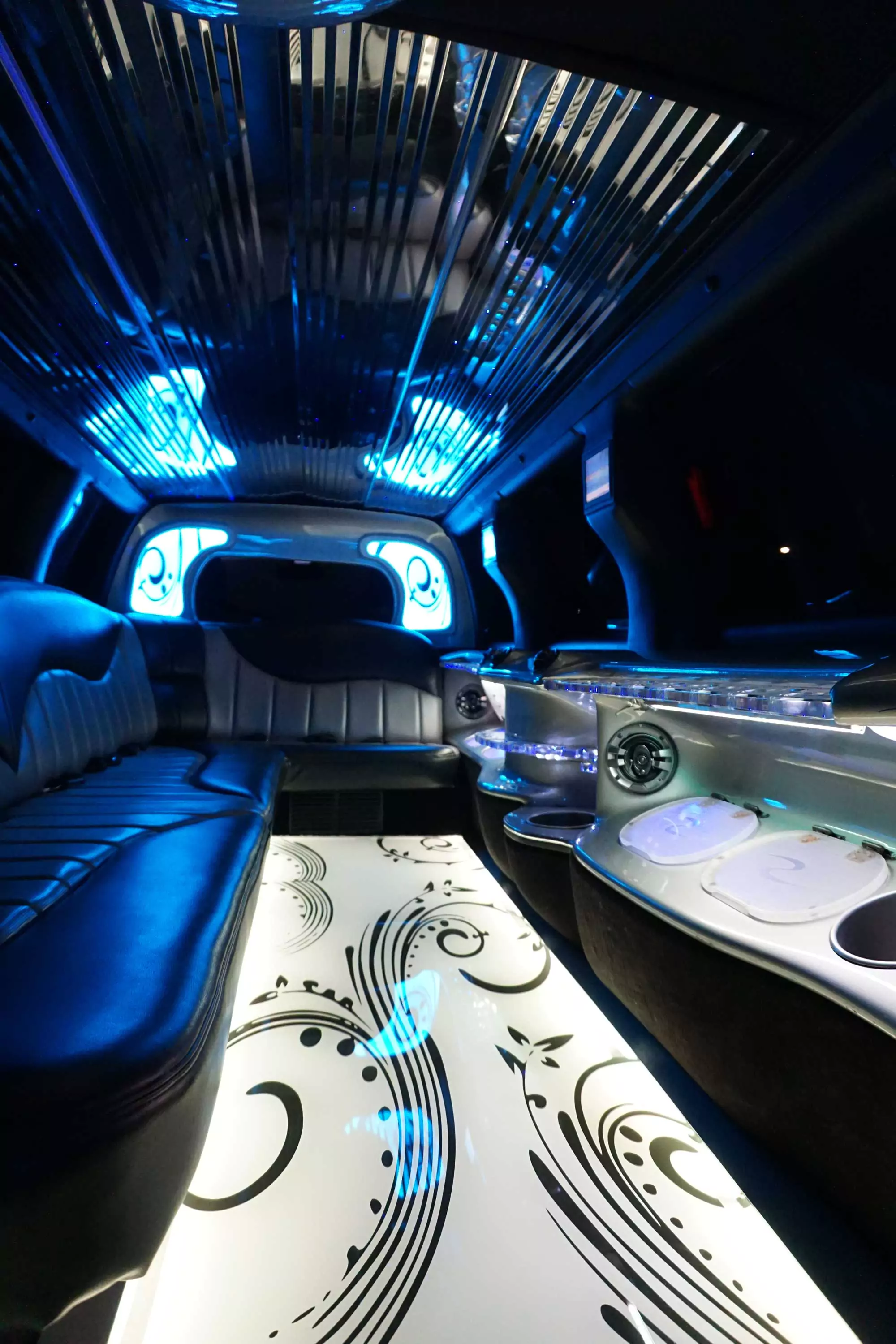 AVITAL CHICAGO PARTY BUS AND LIMOUSINE