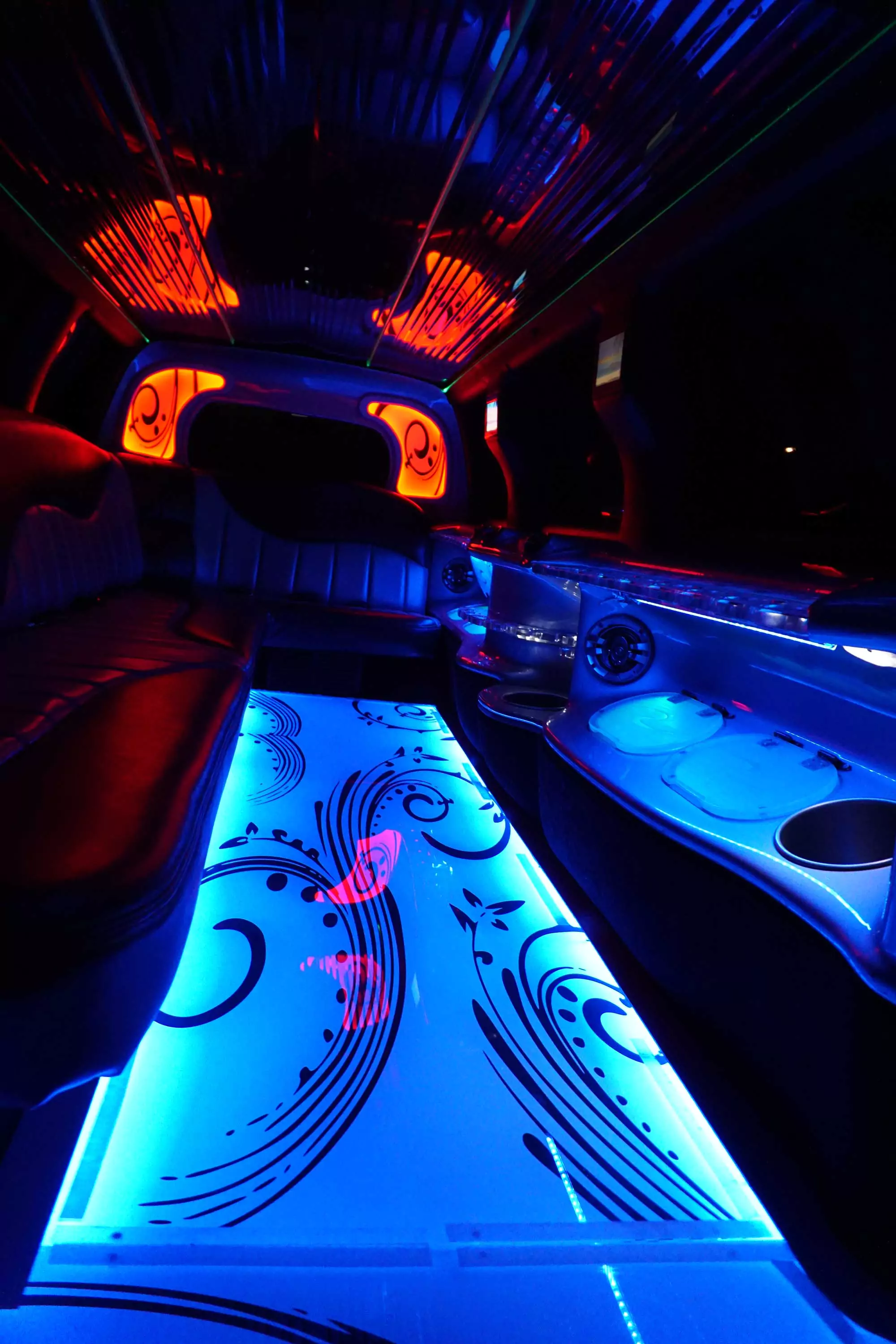 AVITAL CHICAGO PARTY BUS AND LIMOUSINE