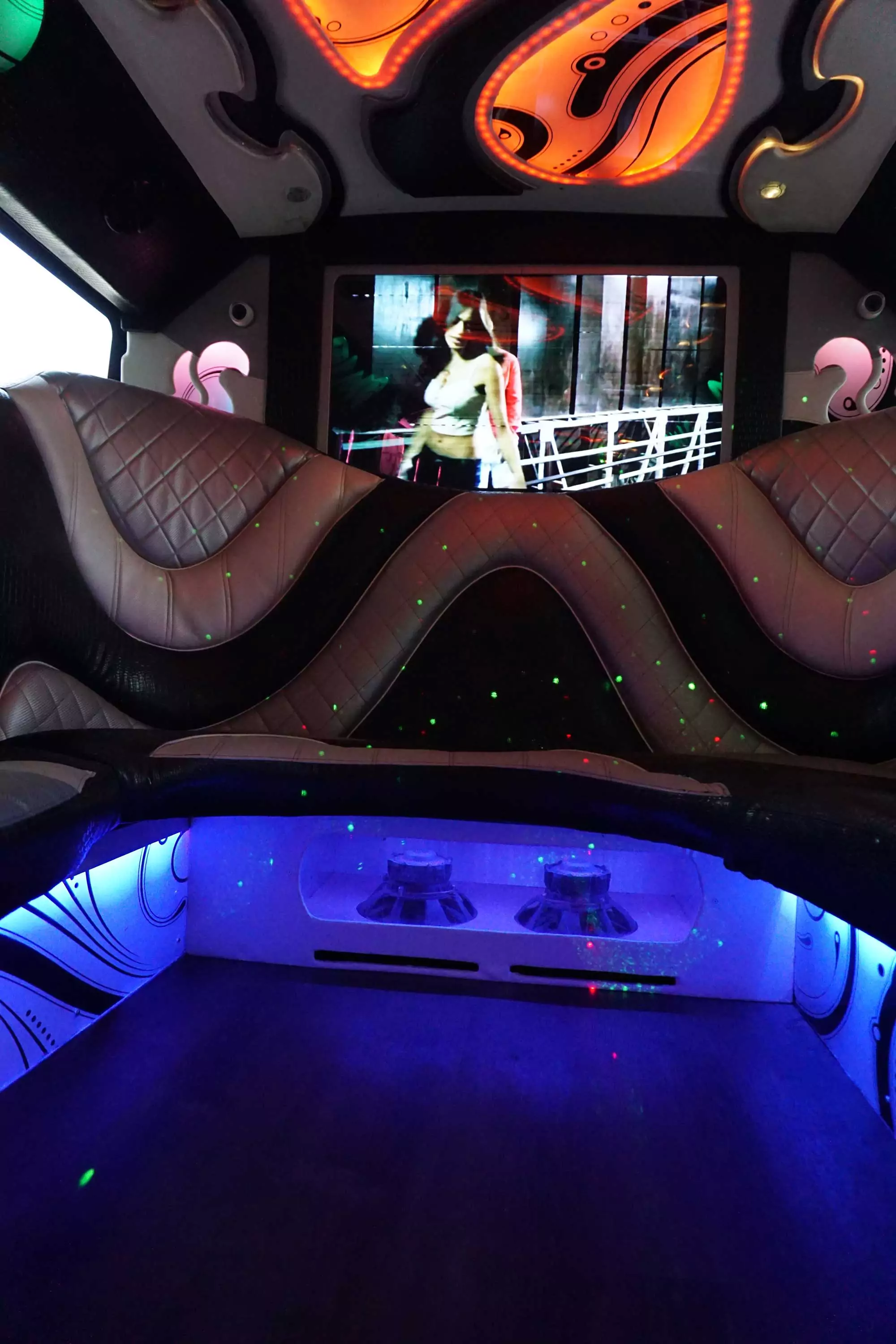 AVITAL CHICAGO PARTY BUS AND LIMOUSINE