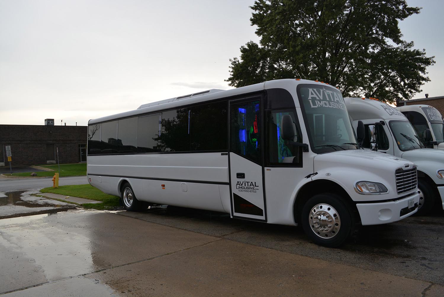 AVITAL CHICAGO PARTY BUS AND LIMOUSINE