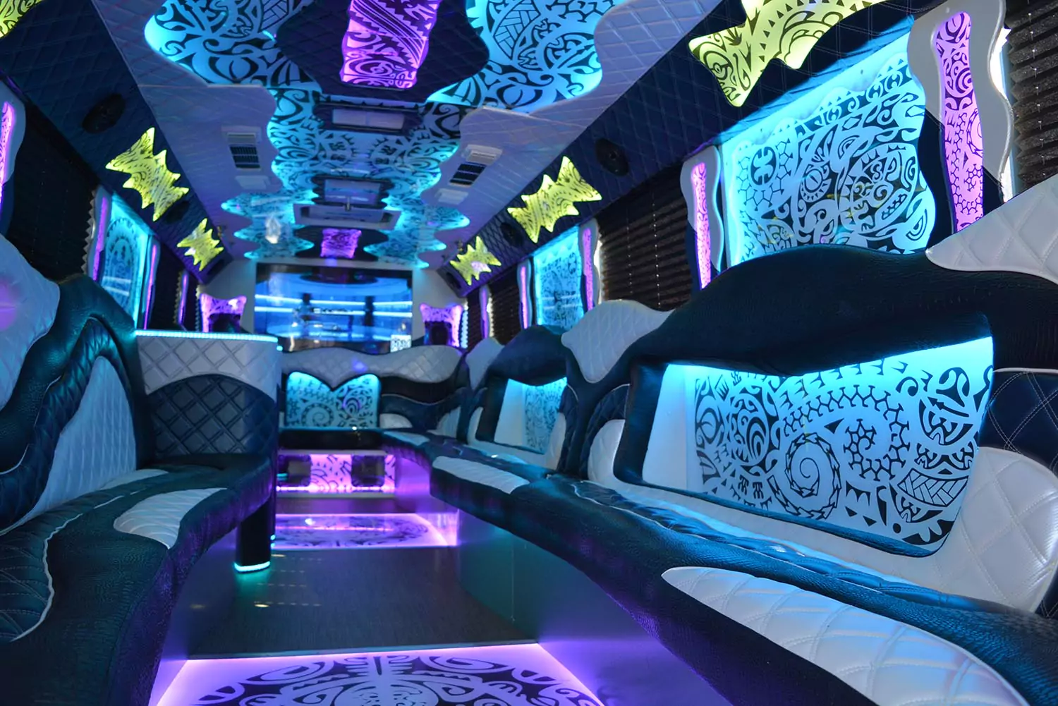 AVITAL CHICAGO PARTY BUS AND LIMOUSINE