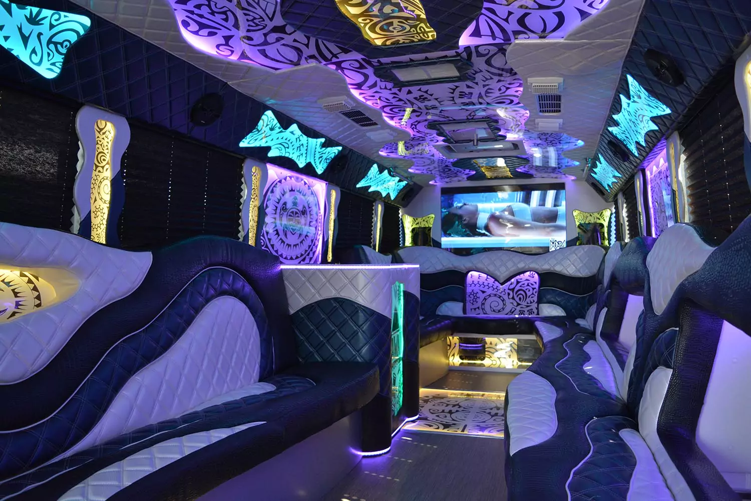 AVITAL CHICAGO PARTY BUS AND LIMOUSINE