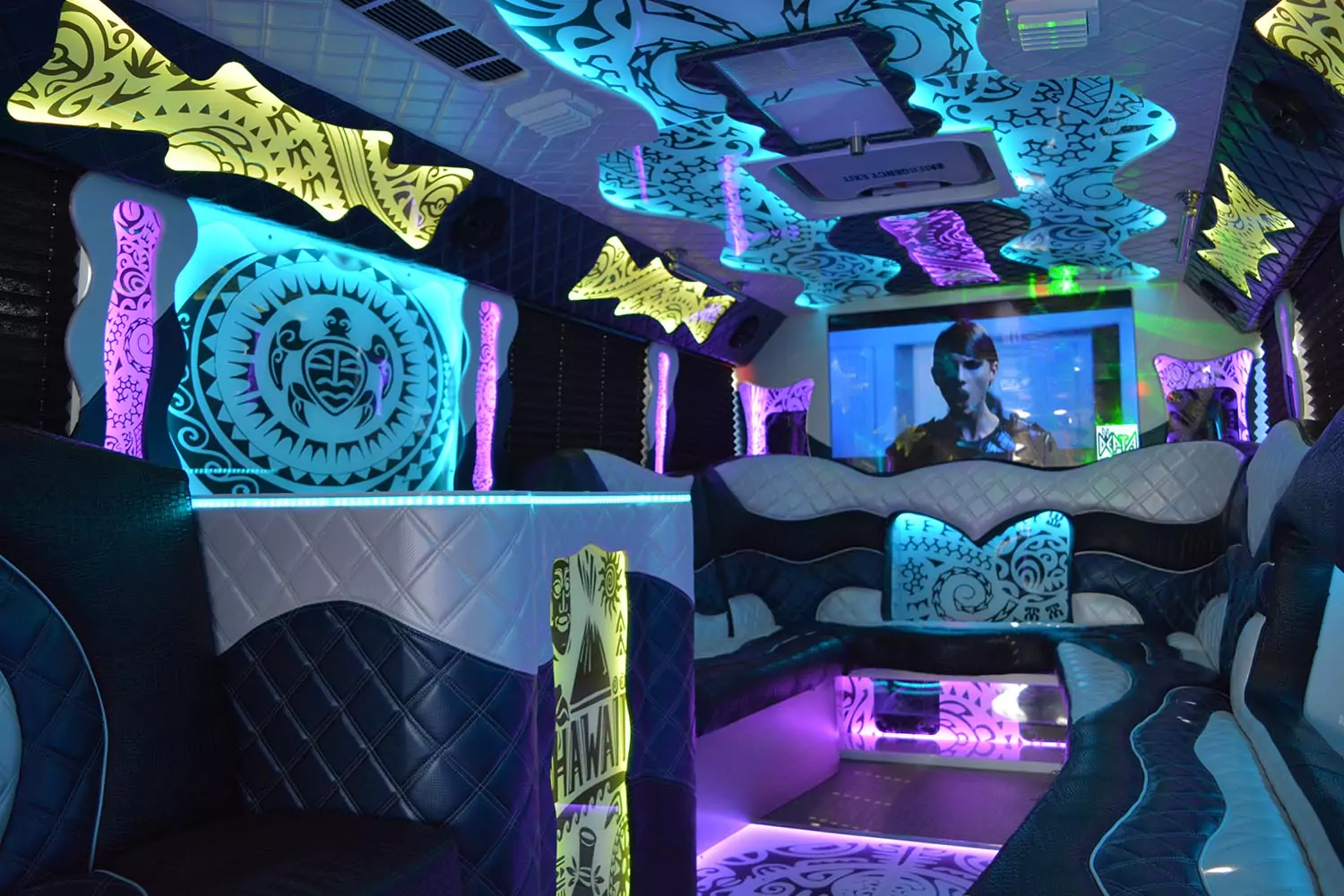 AVITAL CHICAGO PARTY BUS AND LIMOUSINE