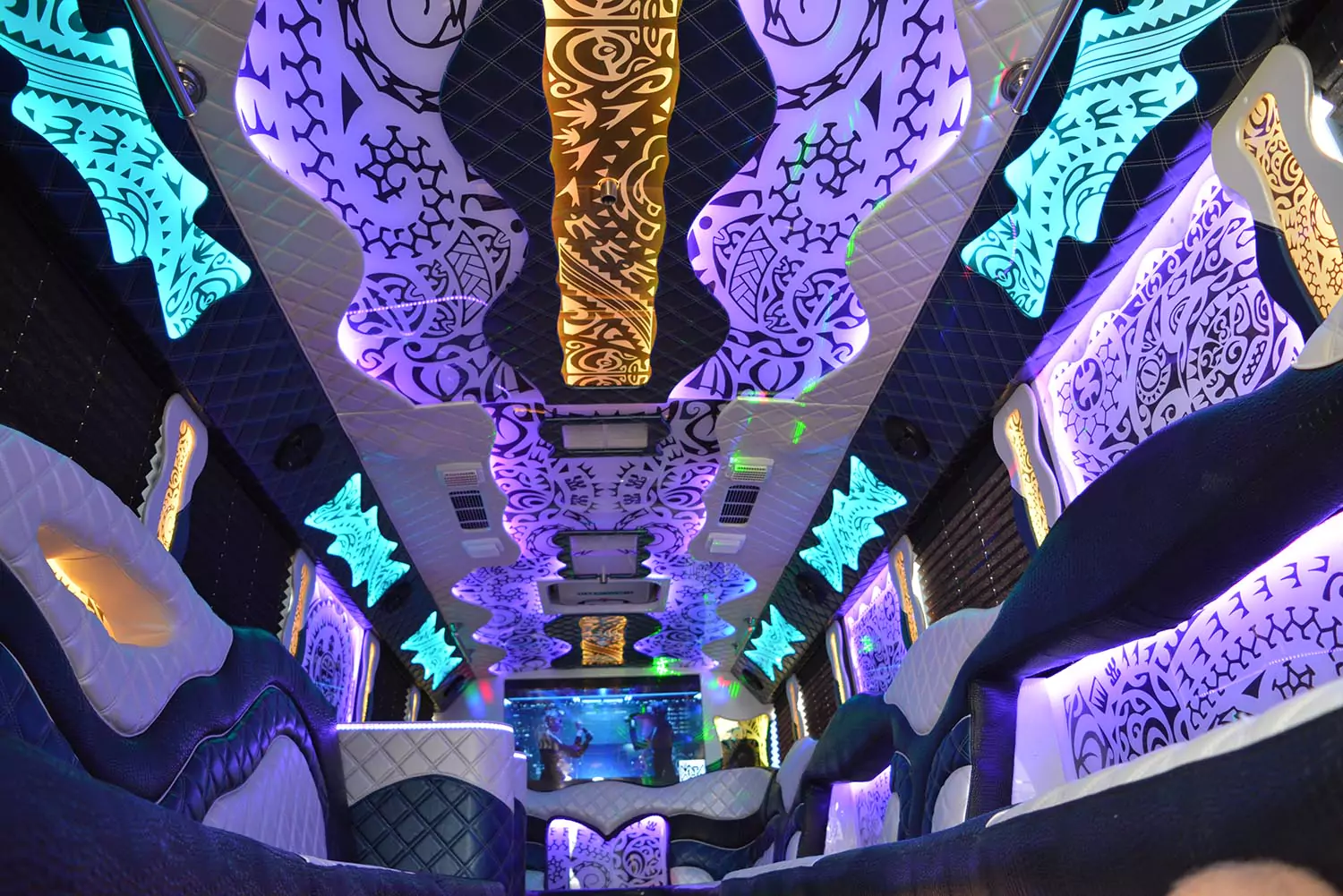 AVITAL CHICAGO PARTY BUS AND LIMOUSINE