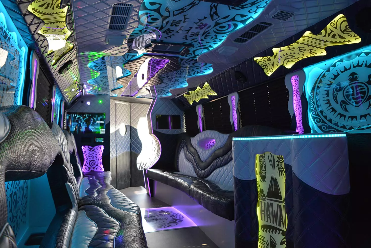 AVITAL CHICAGO PARTY BUS AND LIMOUSINE