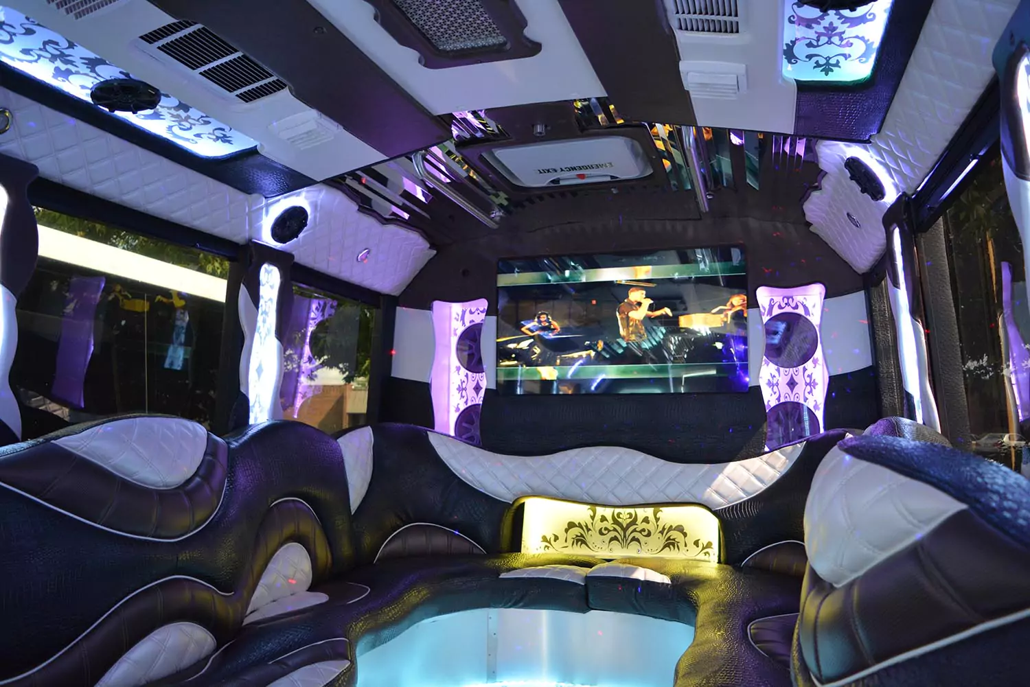 AVITAL CHICAGO PARTY BUS AND LIMOUSINE