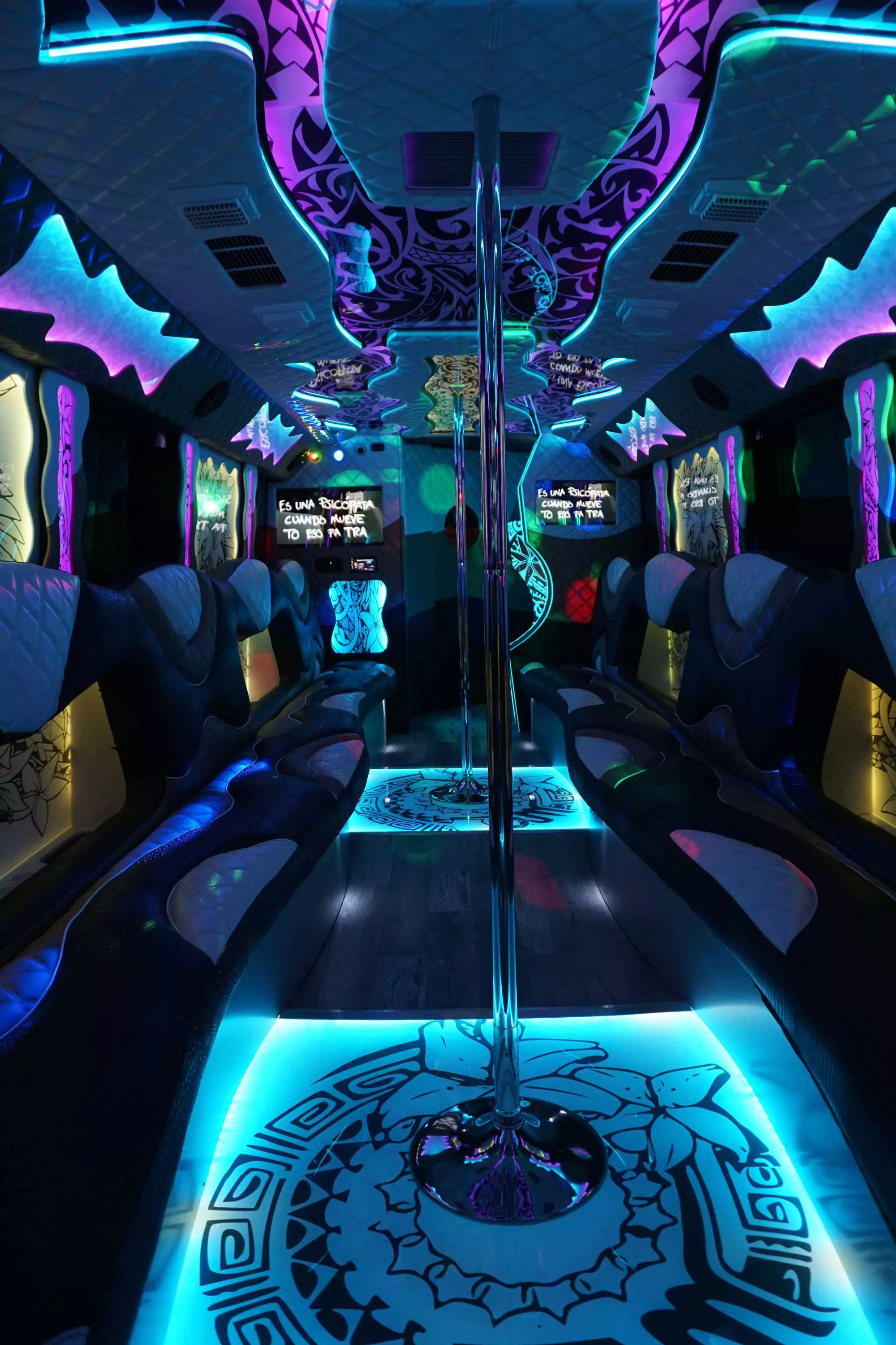 AVITAL CHICAGO PARTY BUS AND LIMOUSINE