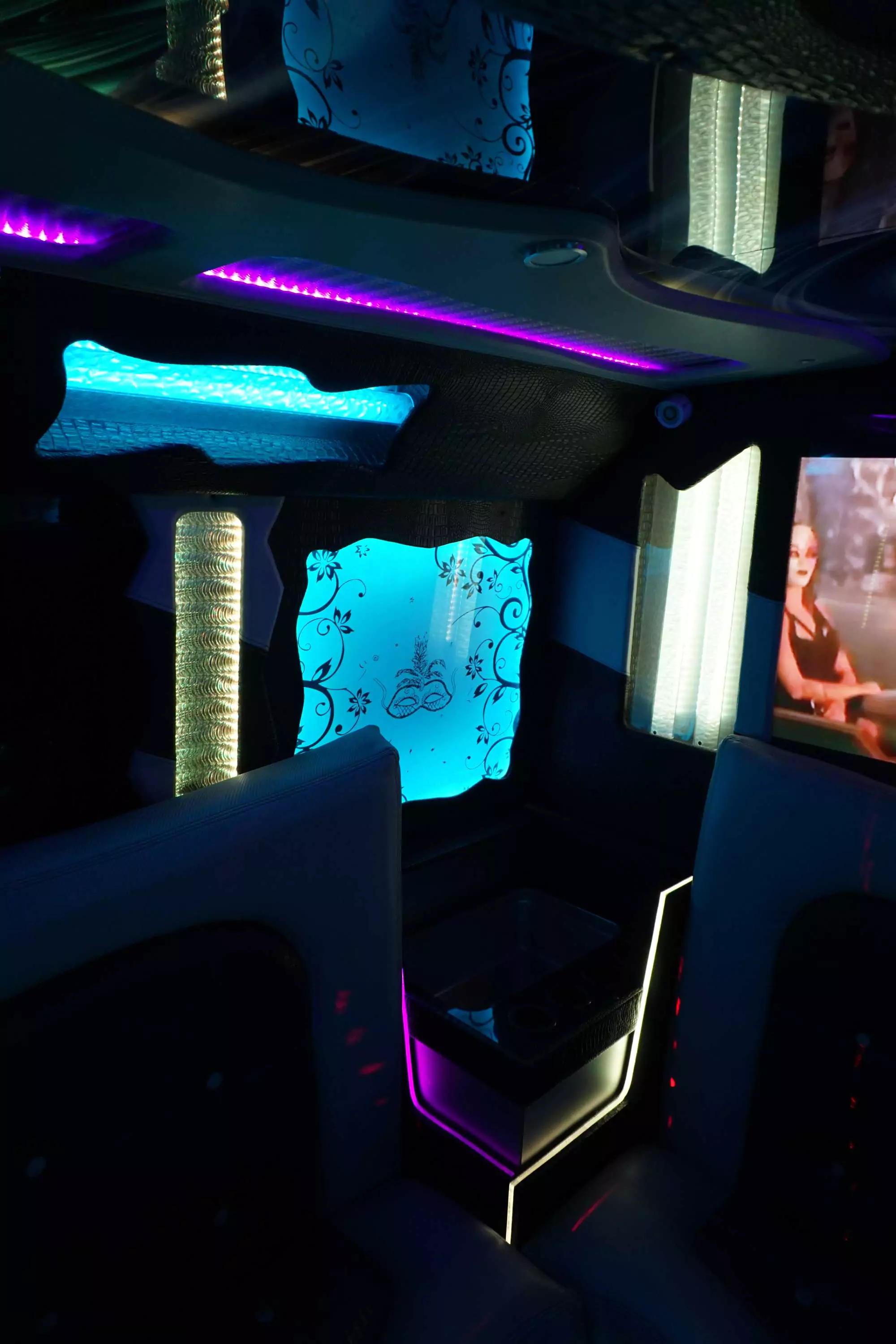 AVITAL CHICAGO PARTY BUS AND LIMOUSINE