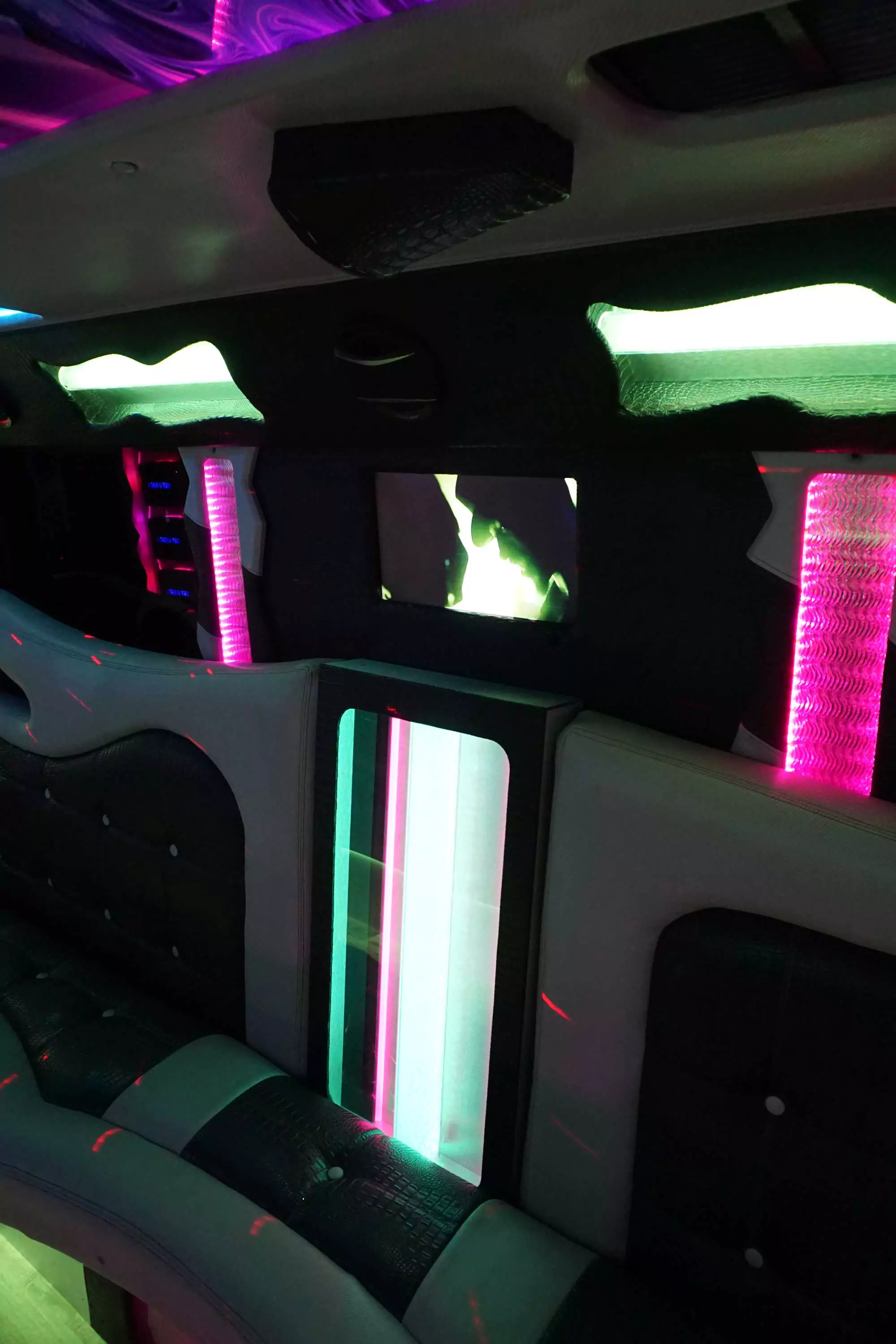 AVITAL CHICAGO PARTY BUS AND LIMOUSINE