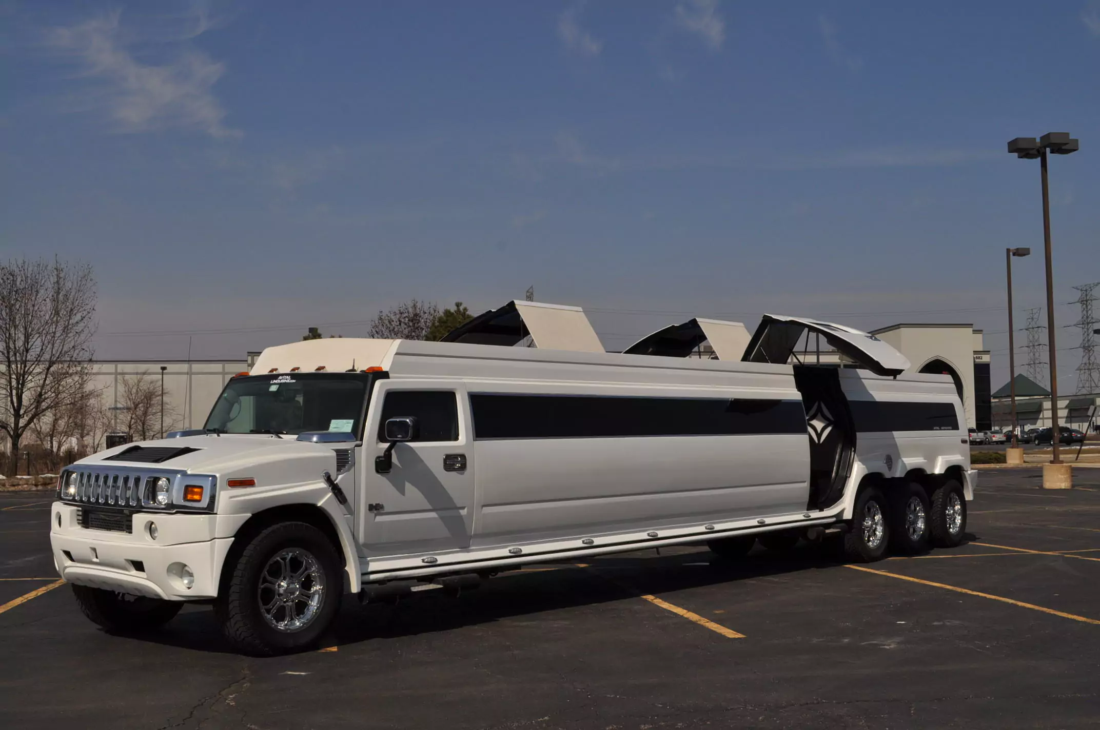 AVITAL CHICAGO PARTY BUS AND LIMOUSINE