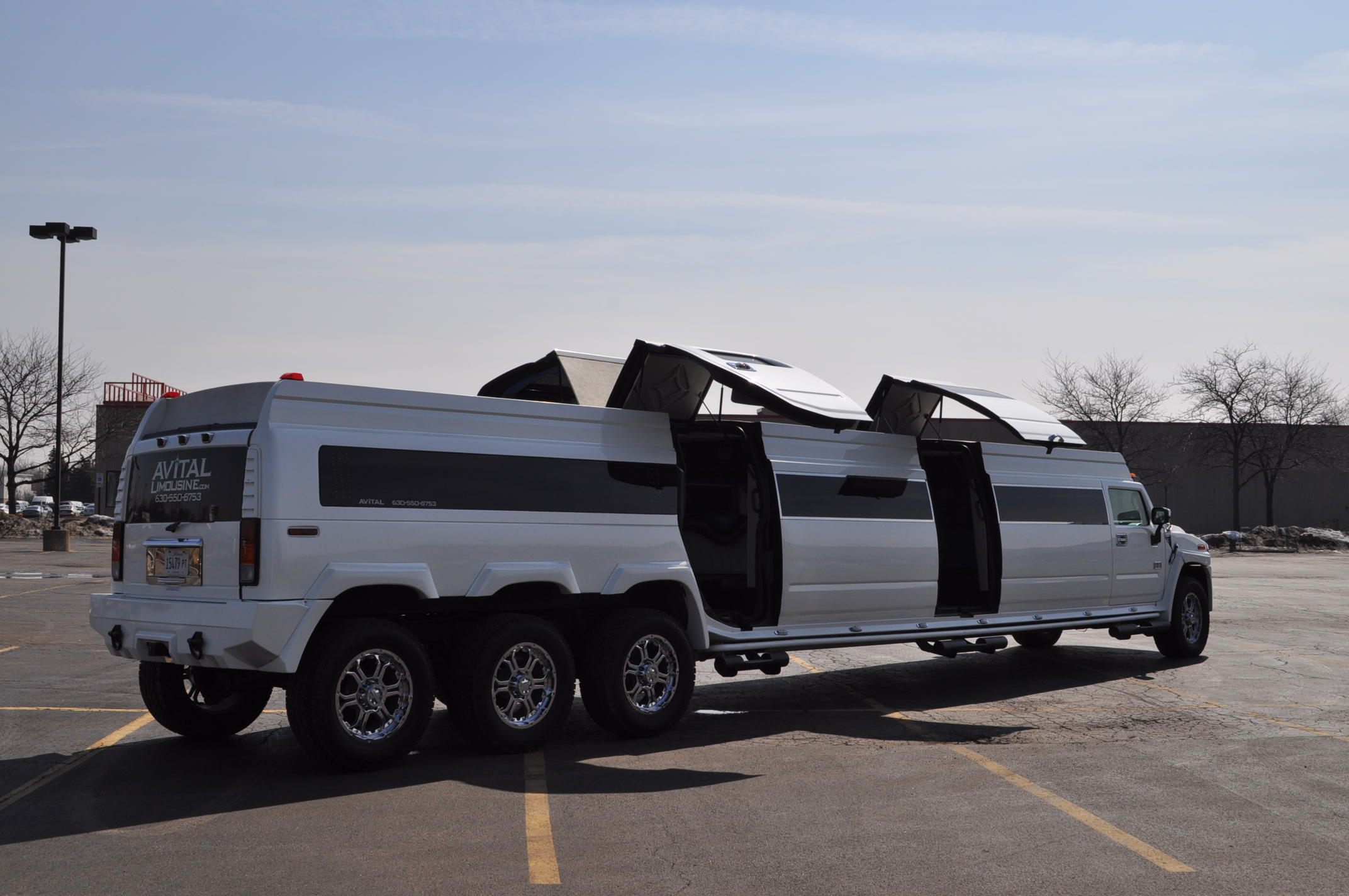 AVITAL CHICAGO PARTY BUS AND LIMOUSINE