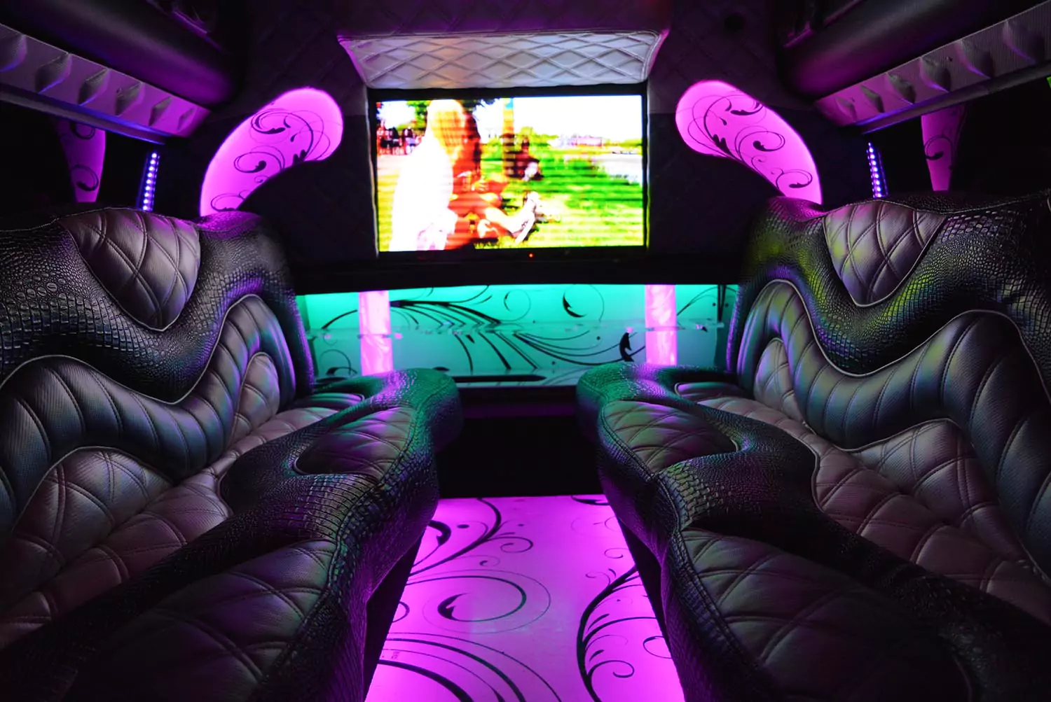 AVITAL CHICAGO PARTY BUS AND LIMOUSINE