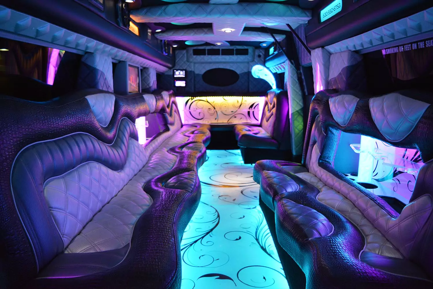 AVITAL CHICAGO PARTY BUS AND LIMOUSINE