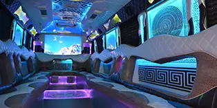 AVITAL CHICAGO PARTY BUS AND LIMOUSINE