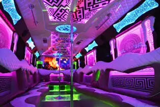 AVITAL CHICAGO PARTY BUS AND LIMOUSINE