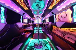 AVITAL CHICAGO PARTY BUS AND LIMOUSINE